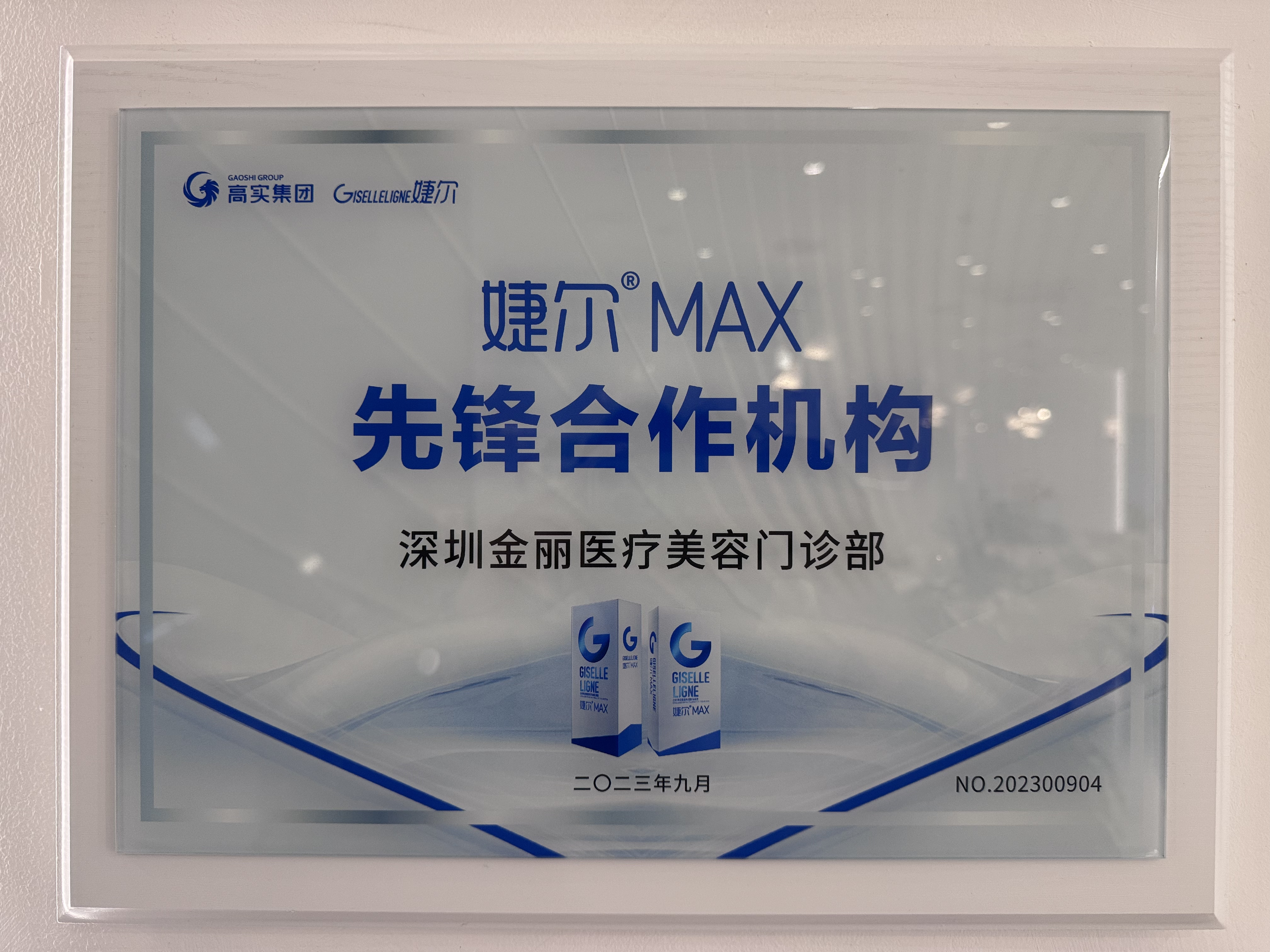 婕尔MAX先锋合作机构