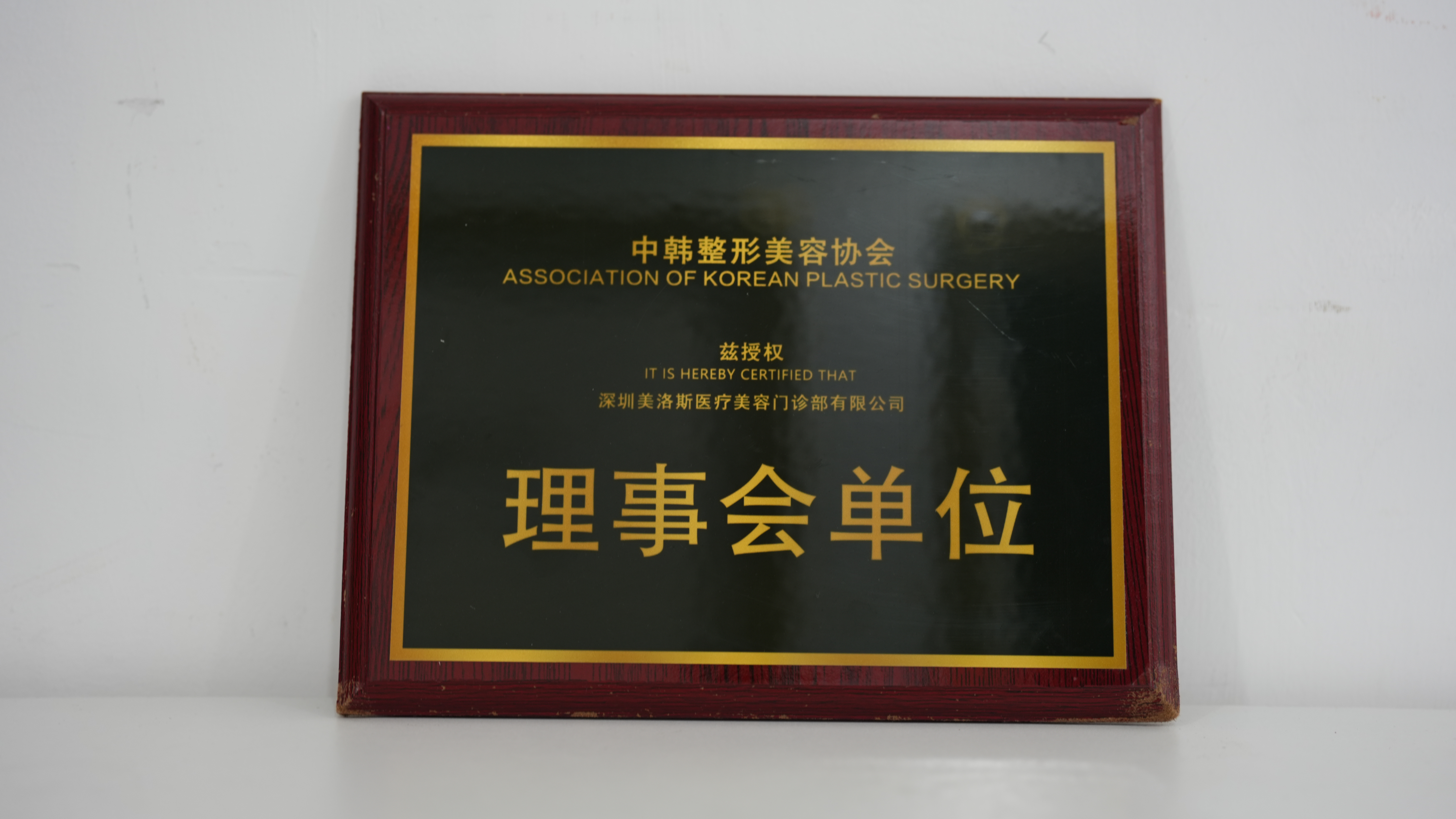 中韩整形美容协会理事会单位